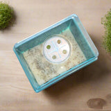 Microgreens Nursery with Adjustable Vents – Compact Seed Starting Dome