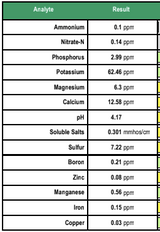 Pine Bark Fines Soil Amendment