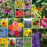 Napa Valley Wildflower Co Pollinator Garden Wildflower Seed Mix