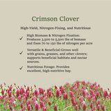 Napa Valley Wildflower Co Crimson Clover Cover Crop Seed – 1 oz
