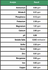 Premium Natural Pumice