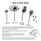 Microgreen Kit, Zero Waste and Self Watering