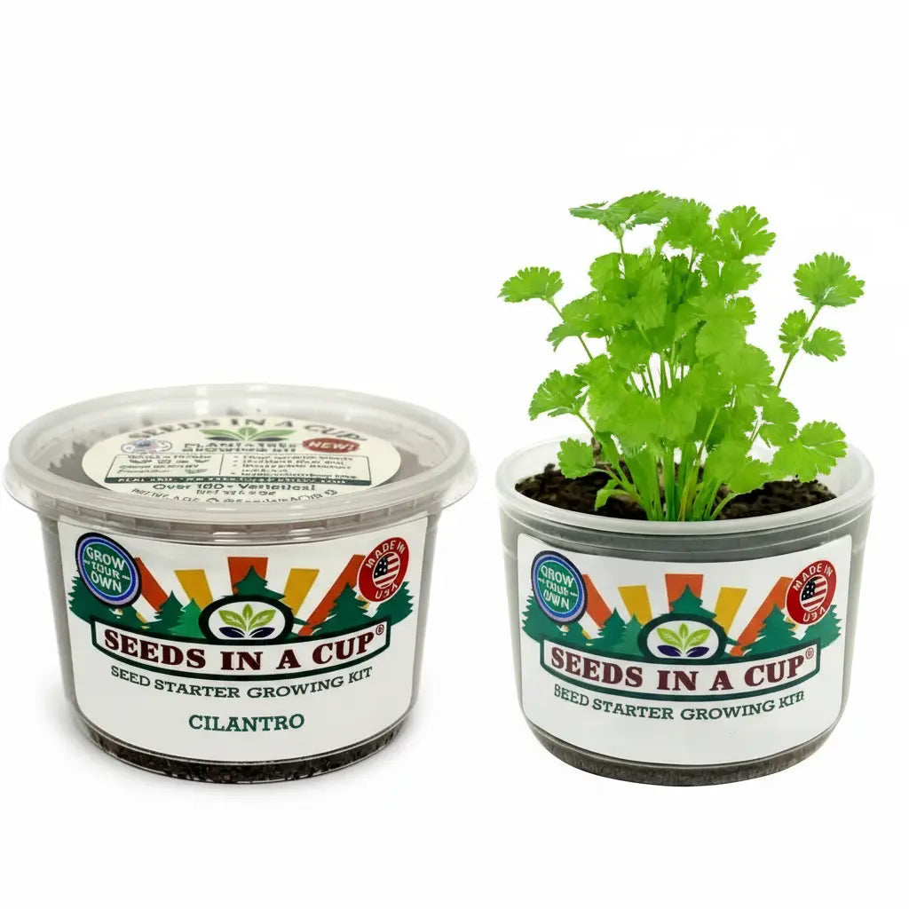 Papaya Grow Kit  | Seeds In A Cup®