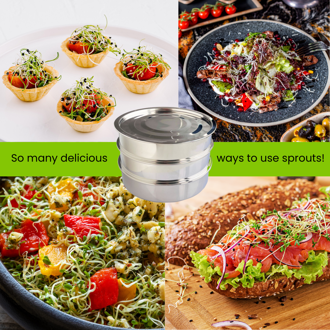 ZestiGreens Stainless Steel Seed Sprouter Kit – 3-Tier Stackable Sprouting Trays with Dual Mesh