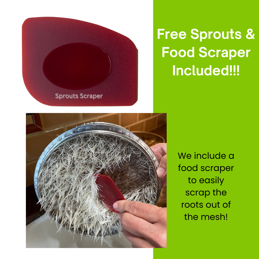 ZestiGreens Stainless Steel Seed Sprouter Kit – 3-Tier Stackable Sprouting Trays with Dual Mesh