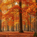 Tree Growing Kit - Choose Your Tree Type |  Seeds In A Cup®