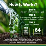 TeraGanix EM•1® Microbial Inoculant Soil Conditioner Concentrate