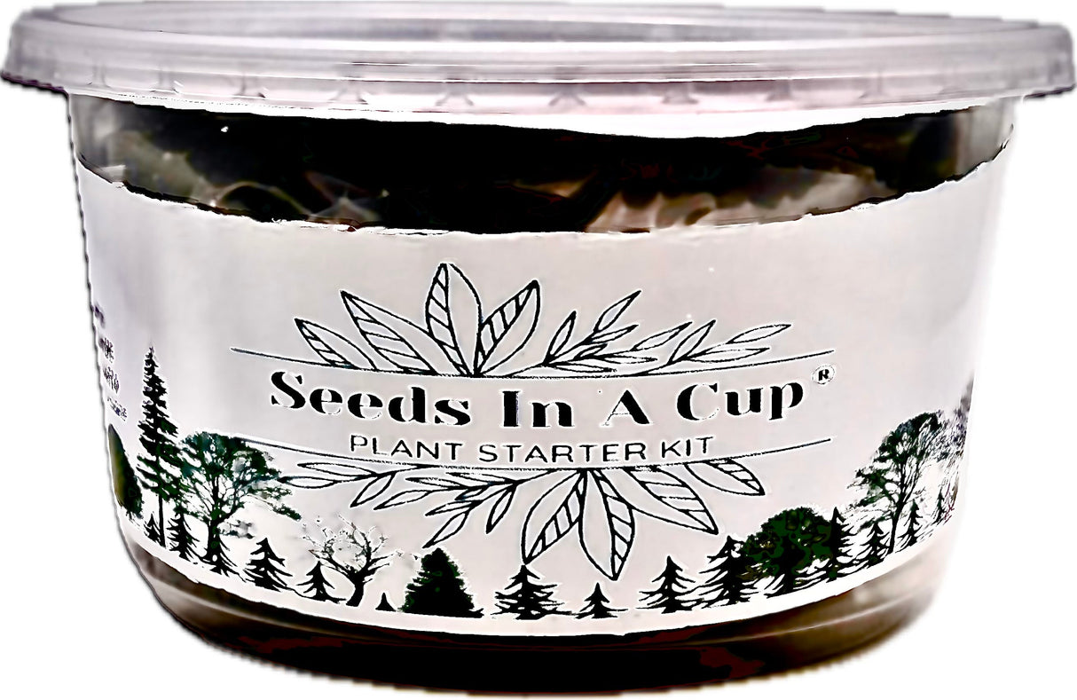 Jalapeño Plant Grow Kit  |  Seeds In A Cup® |