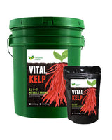 Green bucket and black packet of Vital Kelp fertilizer on a white background