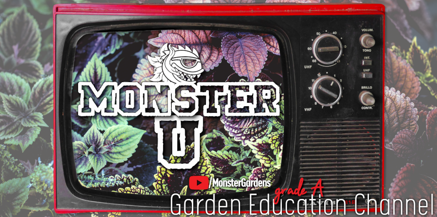 Monster U: MonsterGardens grade A Garden Education Channel