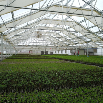 Inside view of Agra Tech Solar Light Greenhouse with various plants growing
