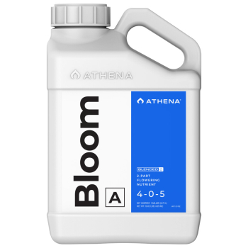 Athena Bloom A (4-0-5)