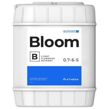 Athena Bloom B (0.7-6-5), 5 Gallon