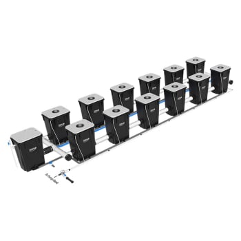 Current Culture Under Current XL13 – RDWC Hydroponics System – 13 Gallon, 30 in Spacing - UC12XL13 (12 Site, 2 Row)