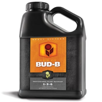 Heavy 16 Bud B, Gallon (4L)