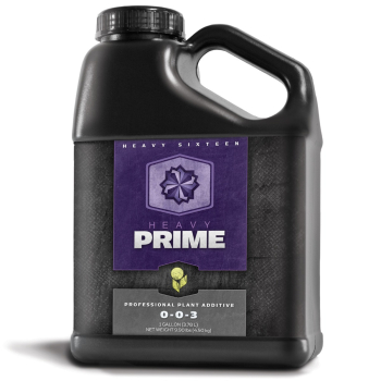 Heavy 16 Prime Concentrate, 6 Gallon (23L)