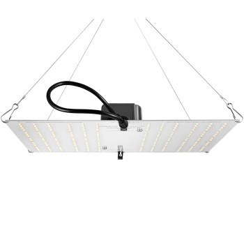HLG 100 V2 95 Watt LED Grow Light - hanging view