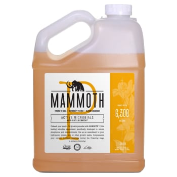 Mammoth P Active Microbials, Gallon