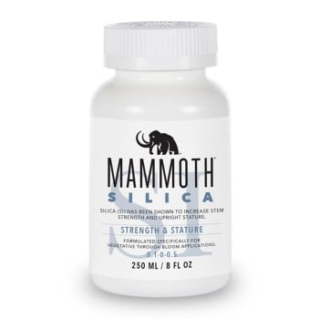 Mammoth SI, 250 ml