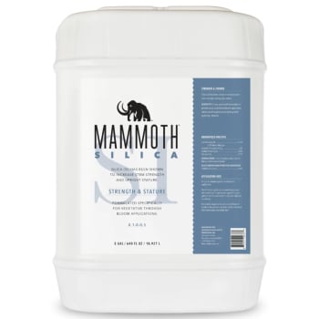 Mammoth SI, 5 Gallon