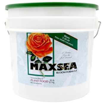 Maxsea Bloom (3-20-20), 20 lb