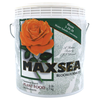 Maxsea Bloom (3-20-20), 6 lb
