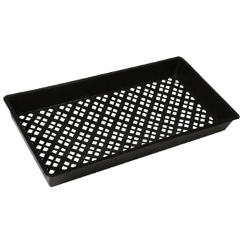 Mesh Bottom Propagation Tray, 10 in x 20 in (Pack of 10)