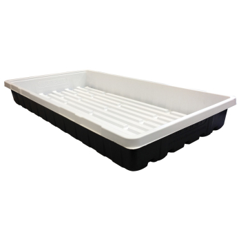 Mondi Black and White Propagation Tray, 10 in x 20 in (Each)