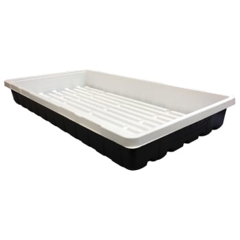 Mondi Black and White Propagation Tray, 10 in x 20 in (Pack of 25)