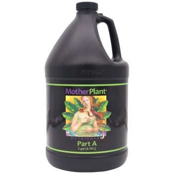 Mother Plant A, Gallon