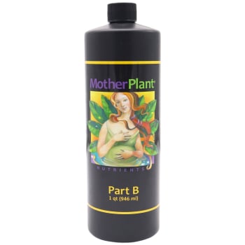 Mother Plant B, Quart