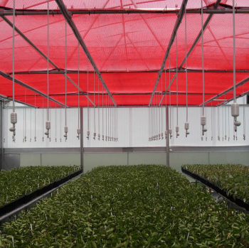 RedShade 25% Shade Cloth Netting over greenhouse with plants below
