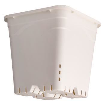 Square White Pot, 12 in x 12 in - 12 in Tall (Pack of 10)