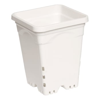 Square White Pot, 6 in x 6 in - 8 in Tall (Pack of 10)