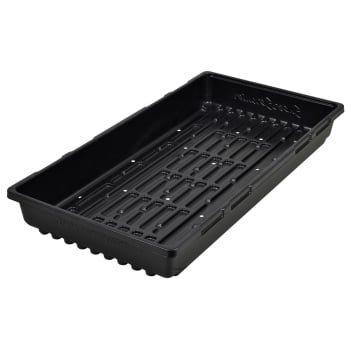 Super Sprouter Double Thick Propagation Tray 10 in x 20 in - With Holes side view