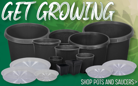 Get Growing Shop Pots and Saucers