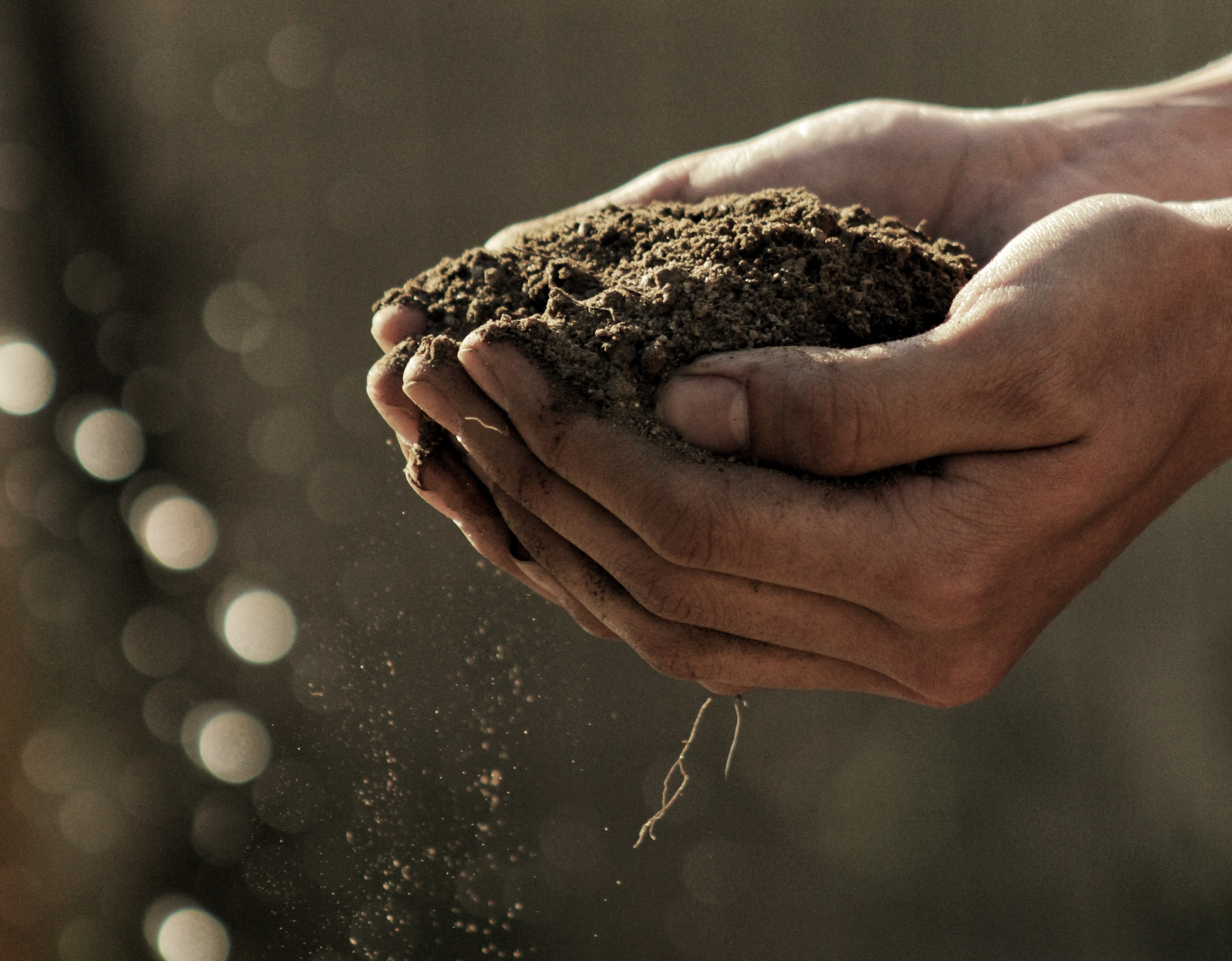 What is a Soil Amendment?