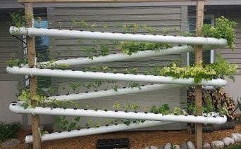 What are the Benefits of Vertical Hydroponics?