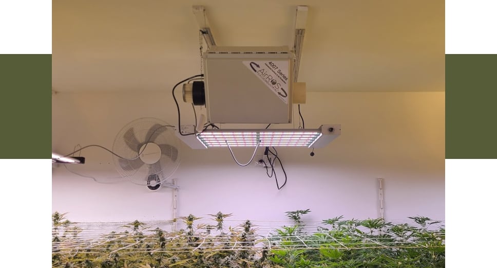 Face view of AirROS 40XX installed in a grow room with led light underneath and fan on the wall behind