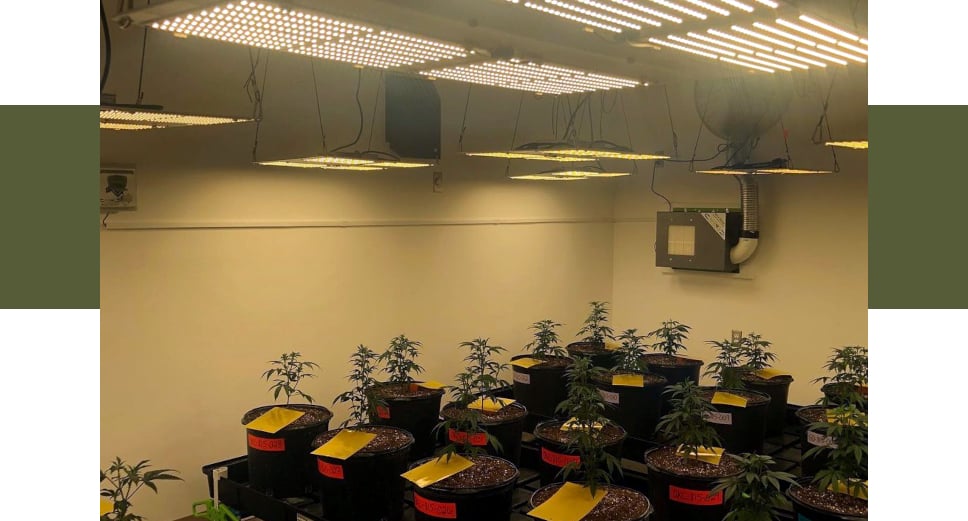 Face view of AirROS 40ZZ installed in a grow room with led light underneath and fan on the wall behind