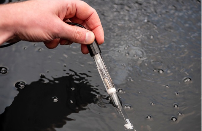 hand holding Bluelab Probe in water