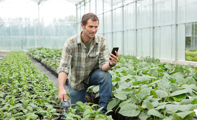 man using blue lab pulse in greenhouse full of plants